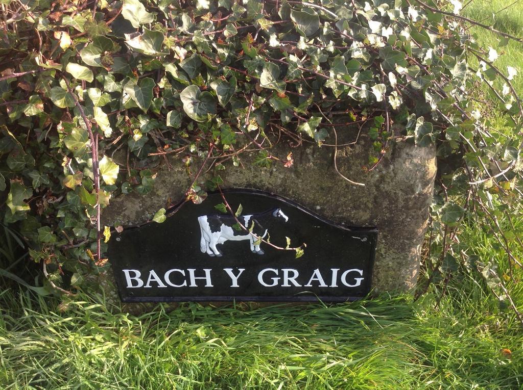 Bach Y Graig Hotel St. Asaph Eksteriør billede