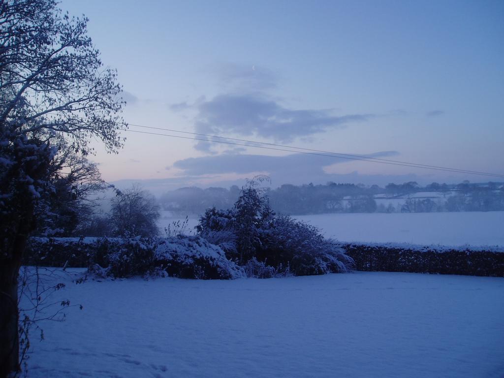 Bach Y Graig Hotel St. Asaph Eksteriør billede