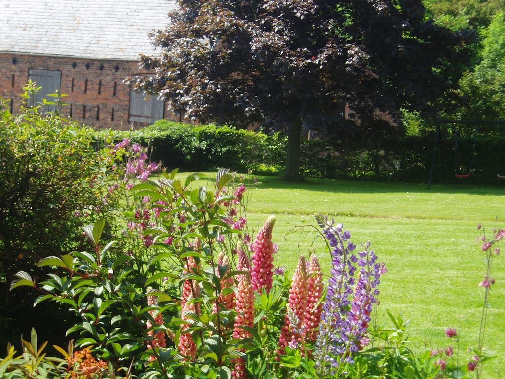 Bach Y Graig Hotel St. Asaph Værelse billede